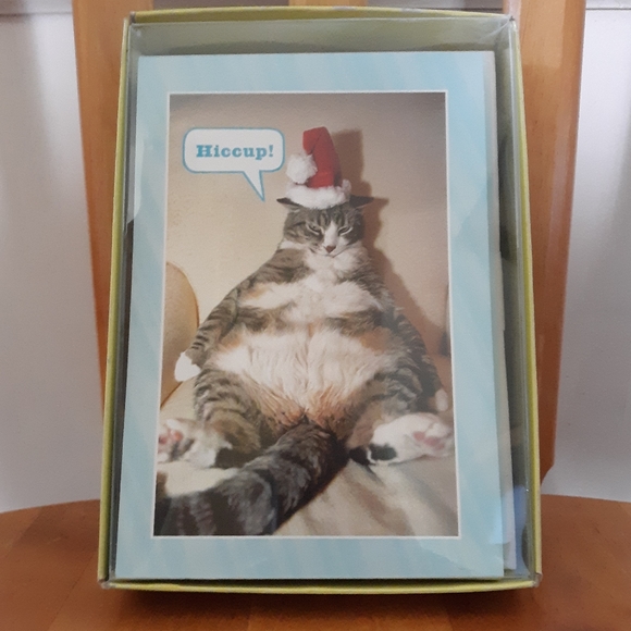 New Shoebox Hallmark Christmas Cards Cat - Picture 1 of 2